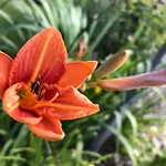 Ferienwohnung Jehsner * Gries (Spittal an der Drau)