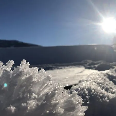 Ferienwohnung Jehsner Apartment *