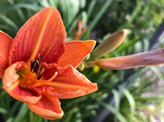 Ferienwohnung Jehsner * Gries (Spittal an der Drau)